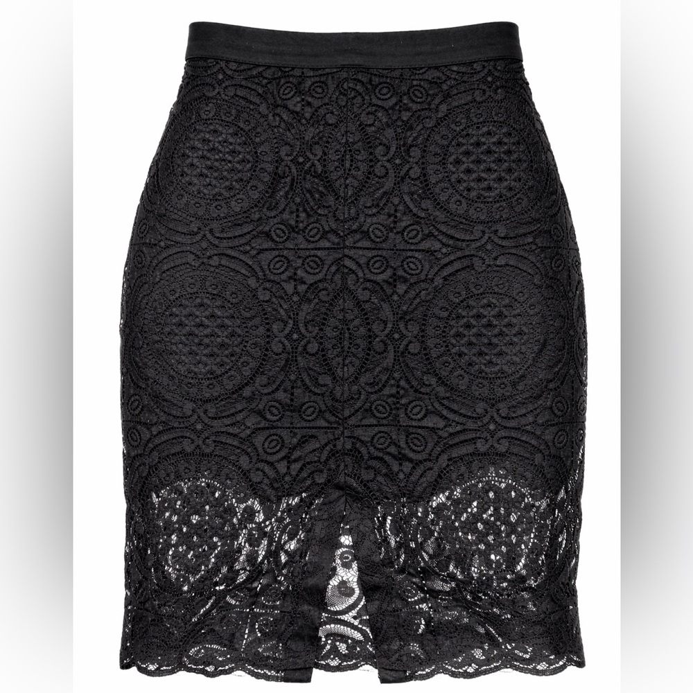 Elegant Black Lace Skirt